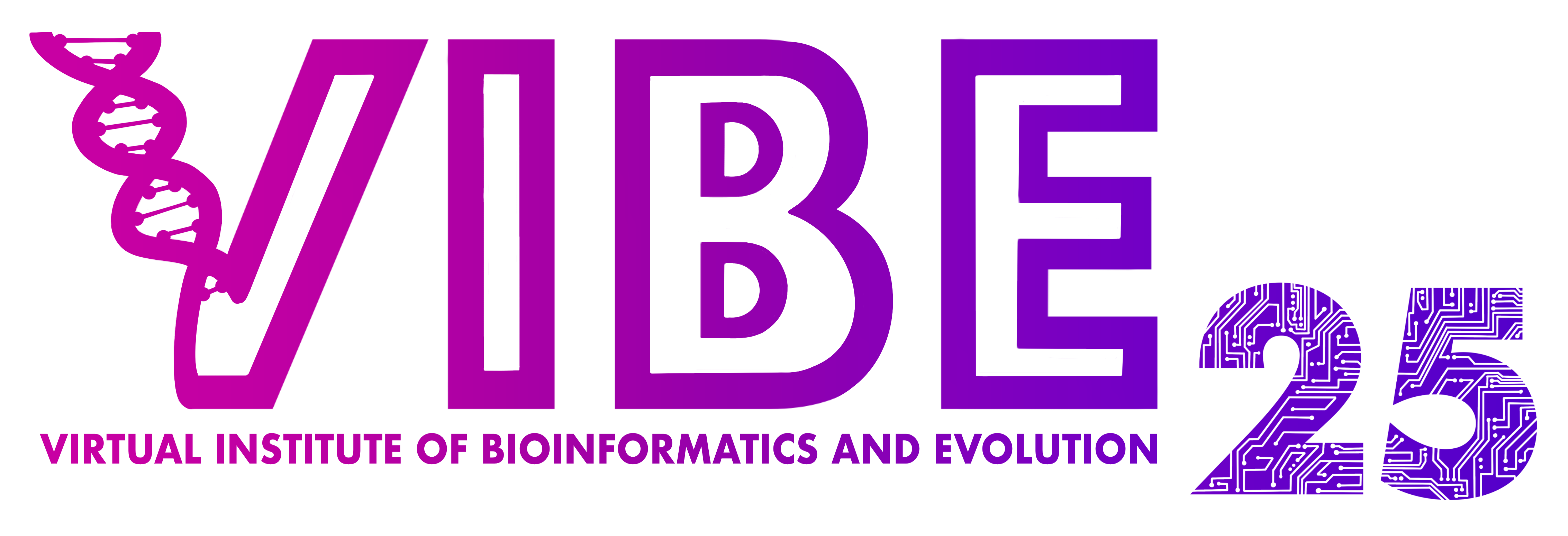 VIBE 2025 logo