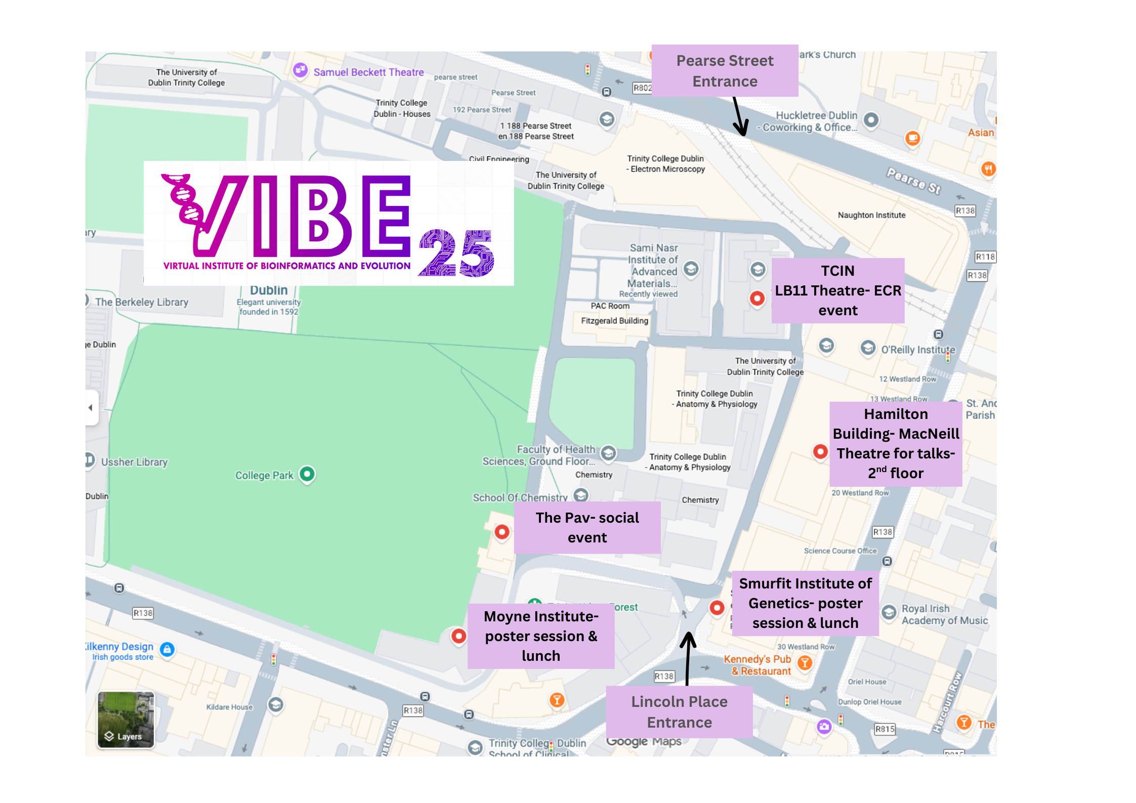 VIBE 2025 logo